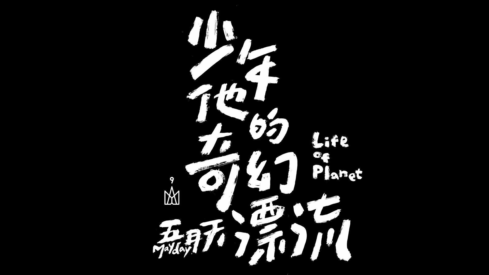少年他的奇幻漂流